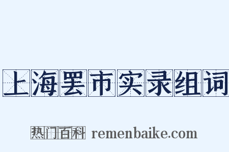 上海罢市实录组词是什么意思的图片